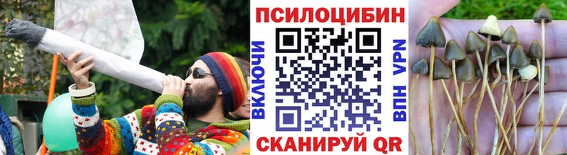 Галлюциногенные грибы прущие грибы  Аксай 